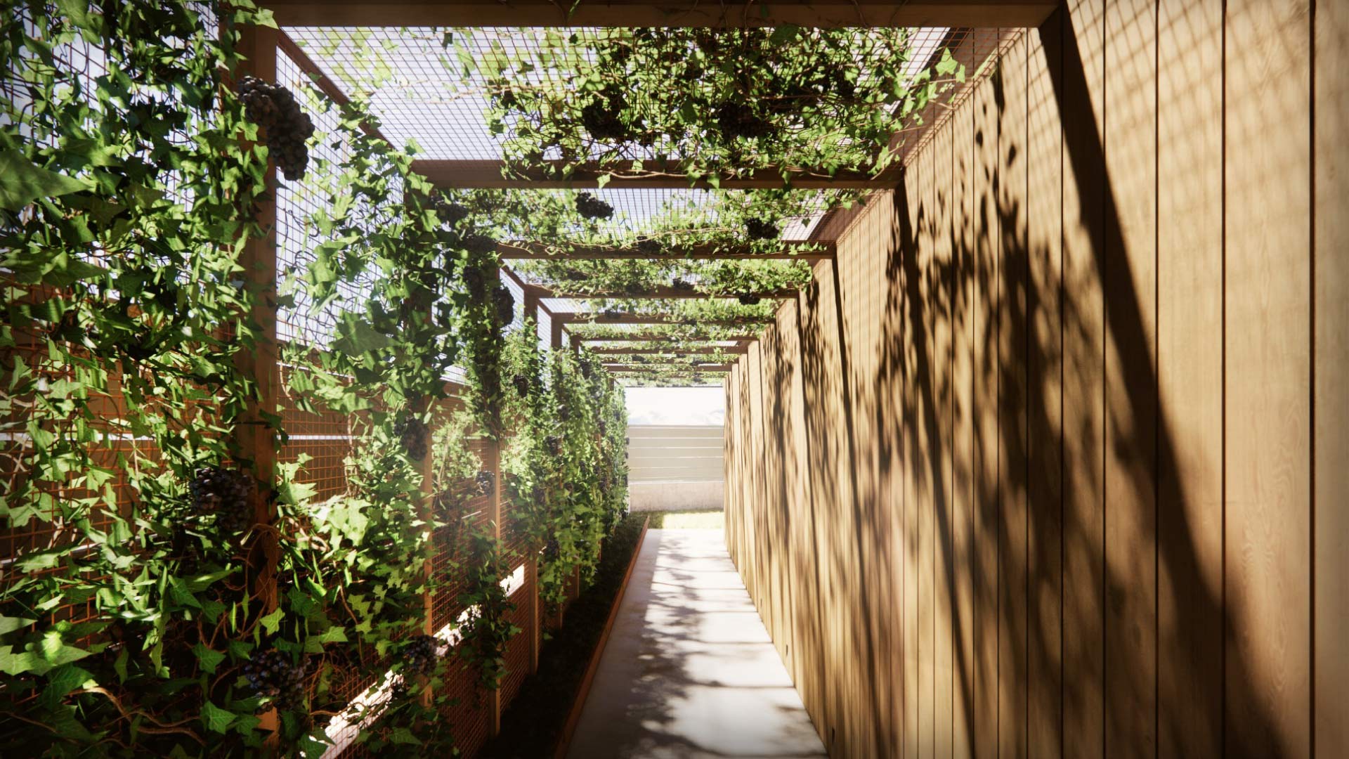 Casa PC | Studio Magenis