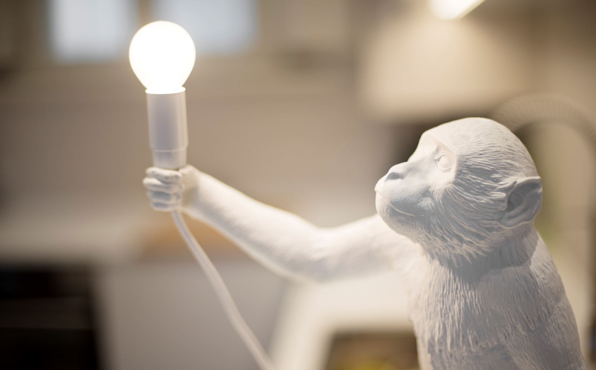 Casa UF | Studio Magenis