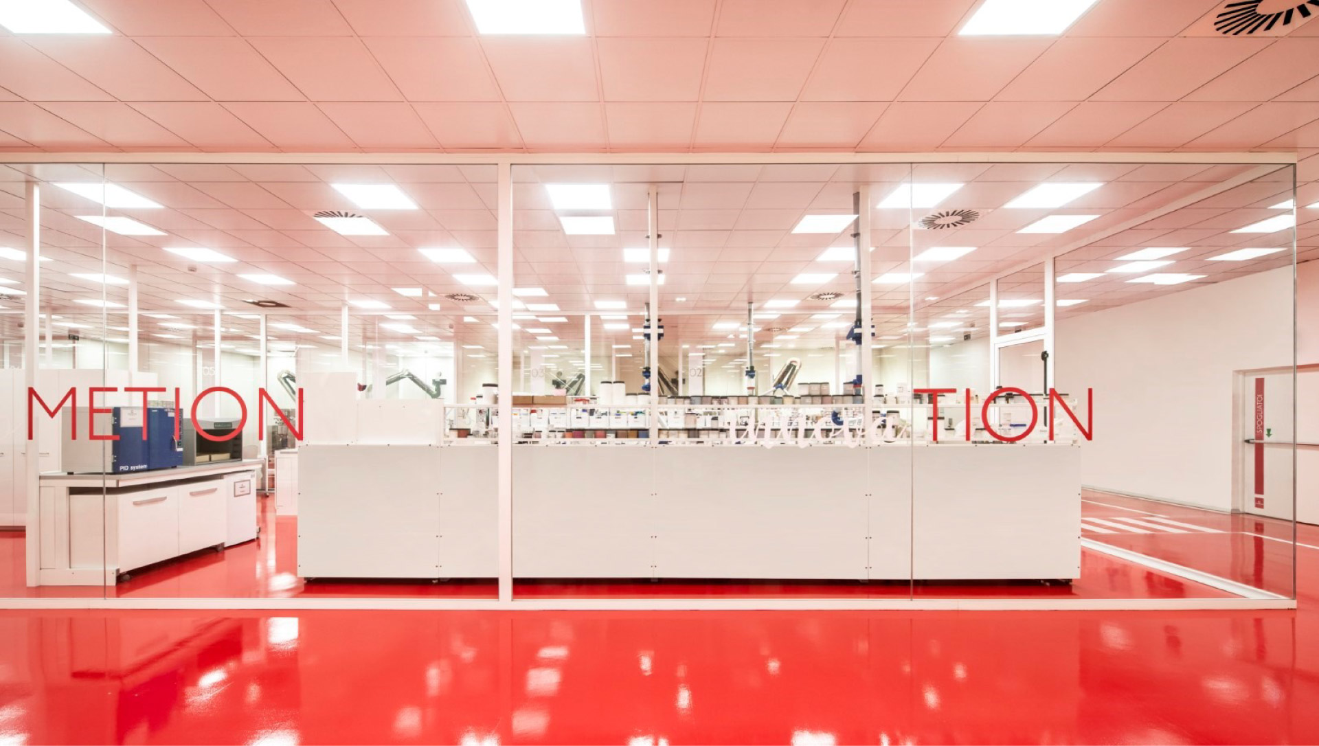 Cosmetion | Studio Magenis