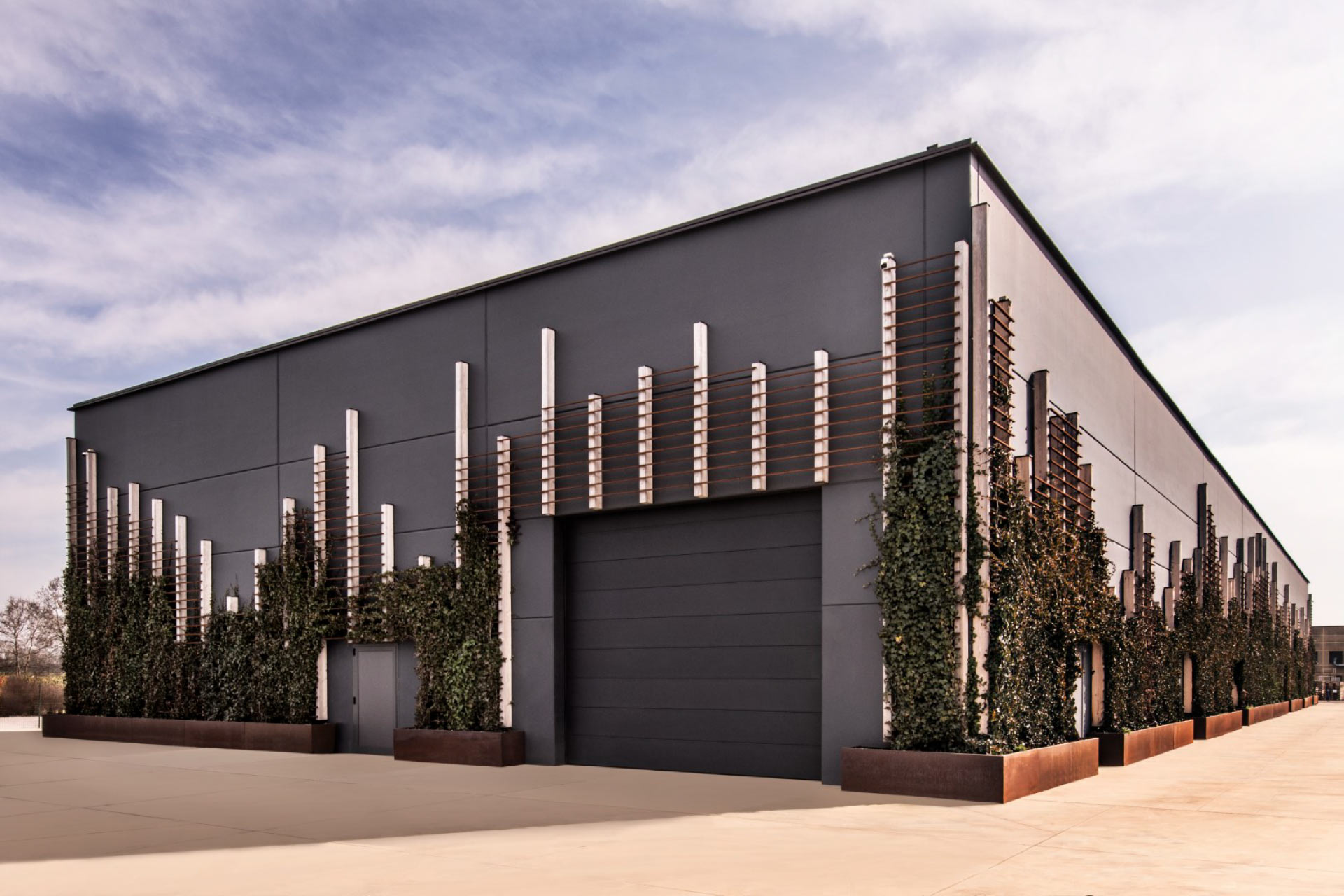 Cosmetion | Studio Magenis