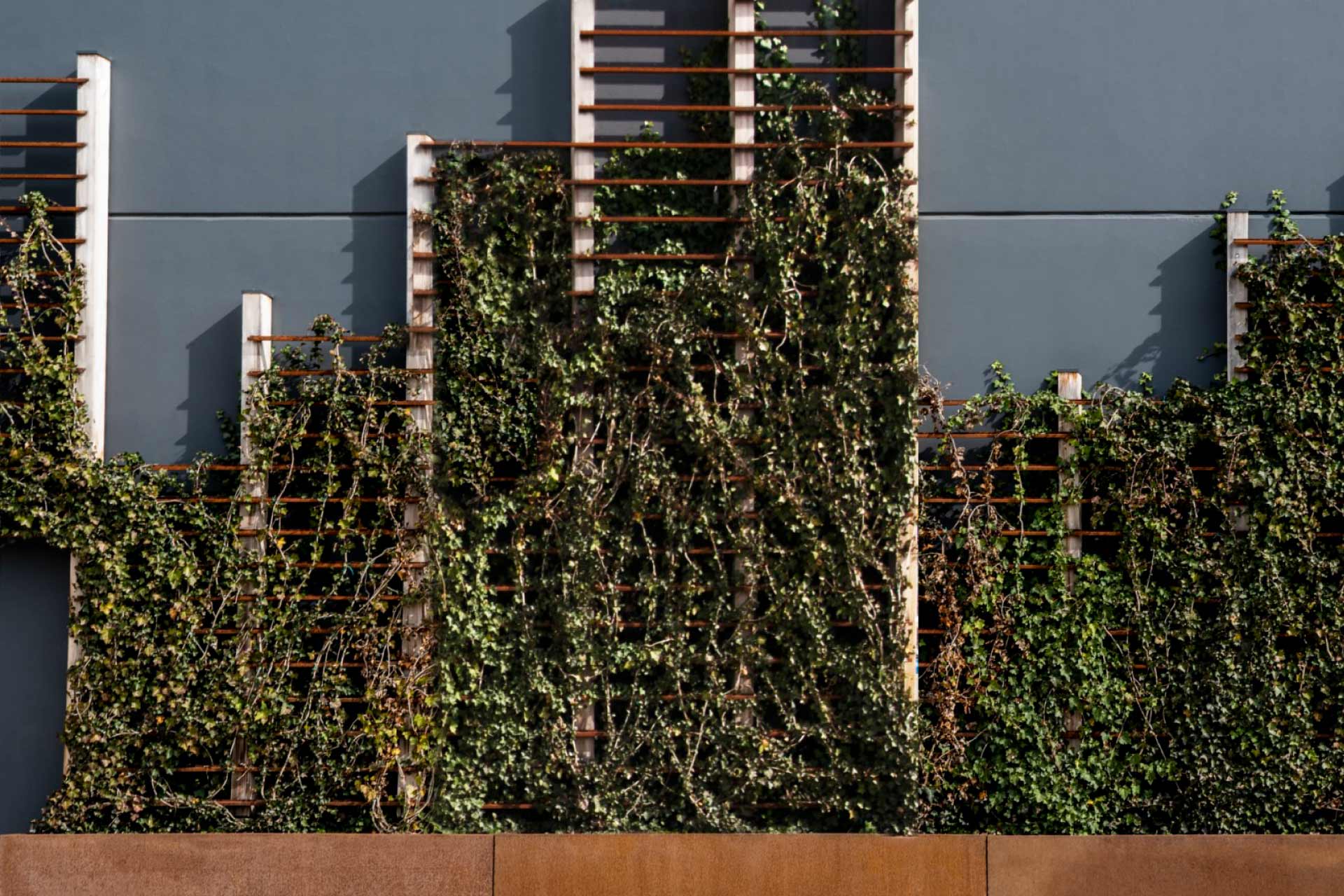 Cosmetion | Studio Magenis