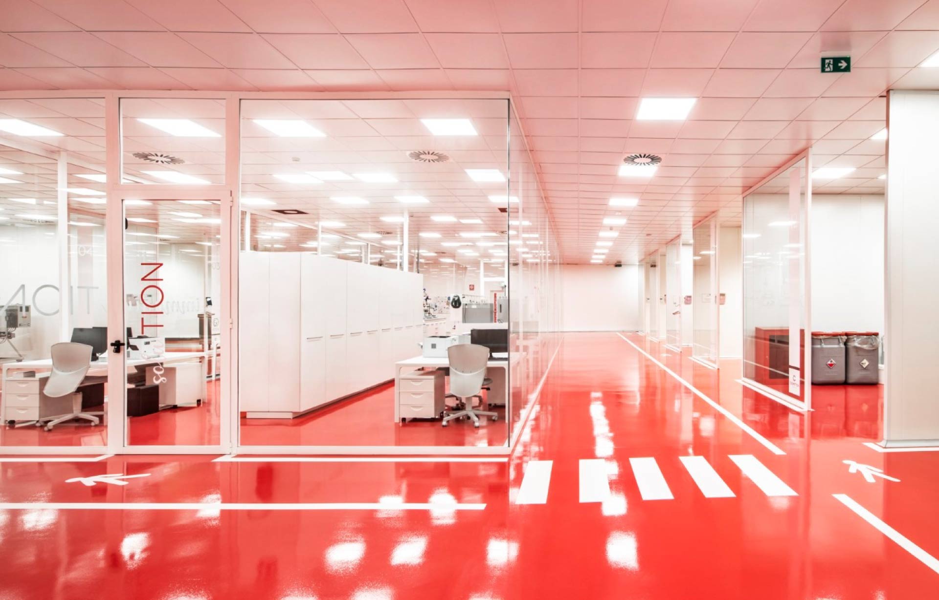 Cosmetion | Studio Magenis