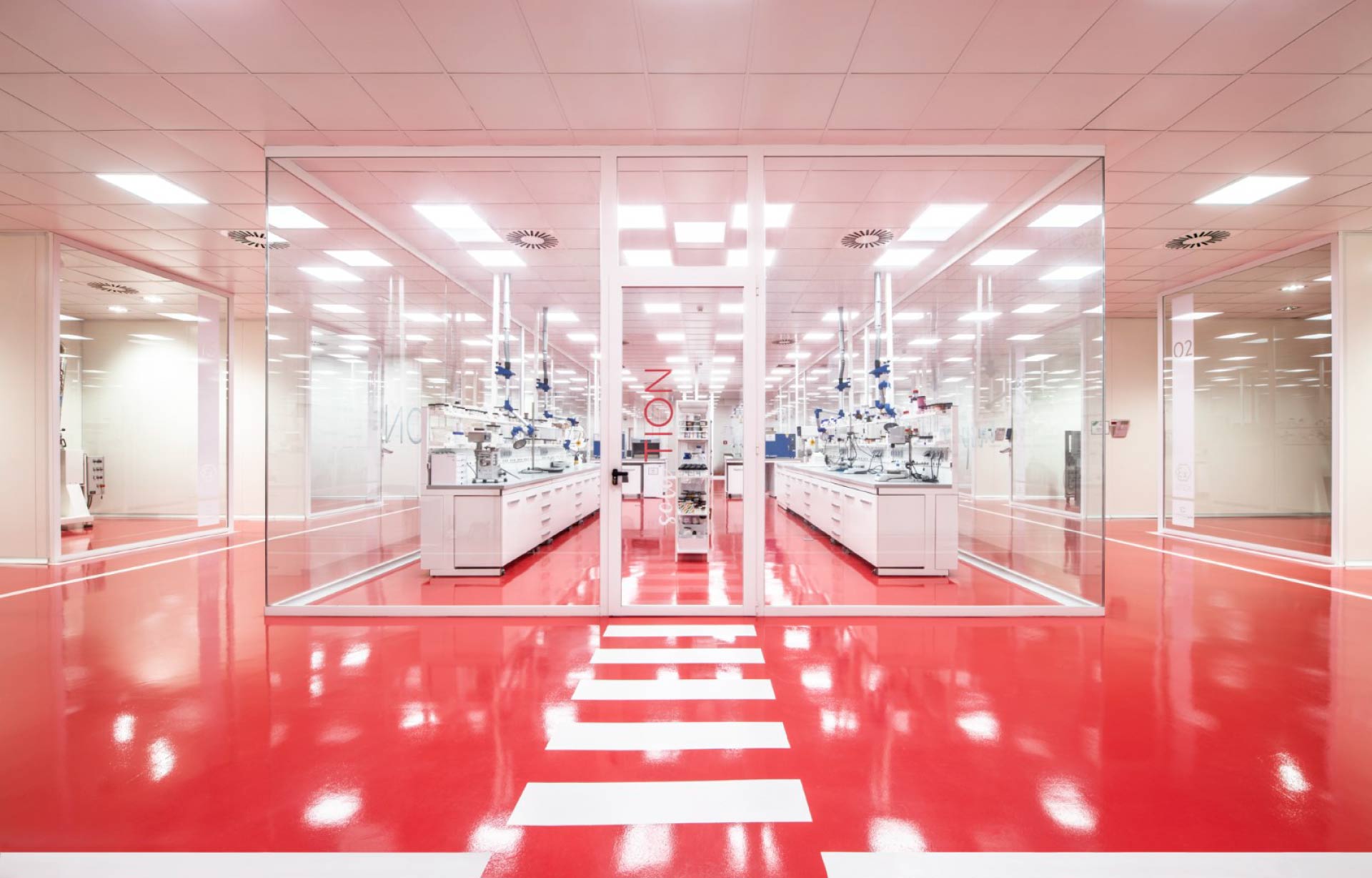 Cosmetion | Studio Magenis