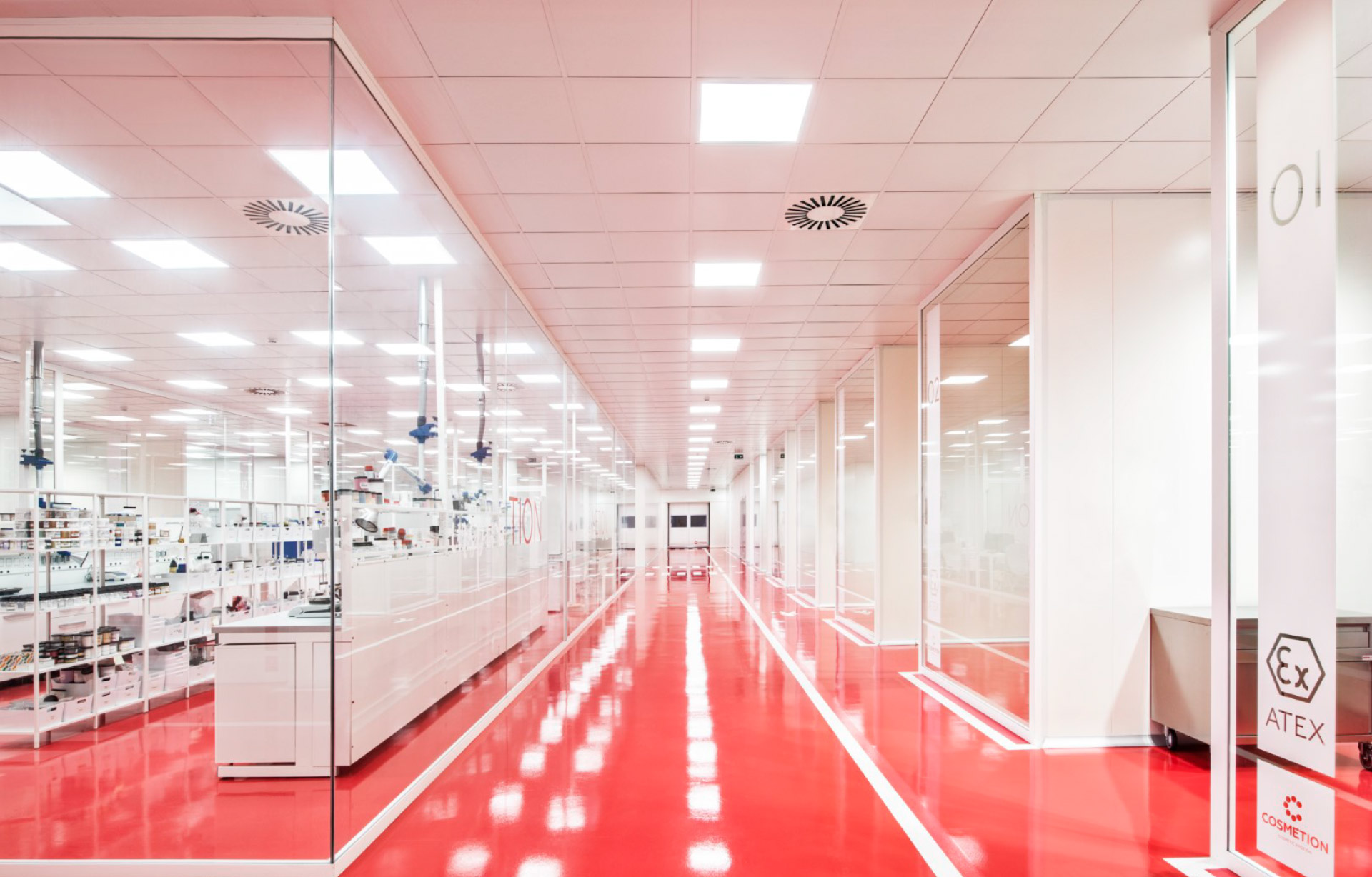 Cosmetion | Studio Magenis