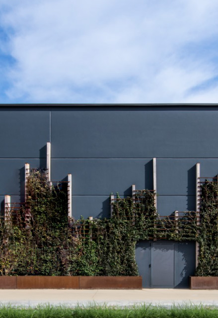 Cosmetion | Magenis | Studio di architettura