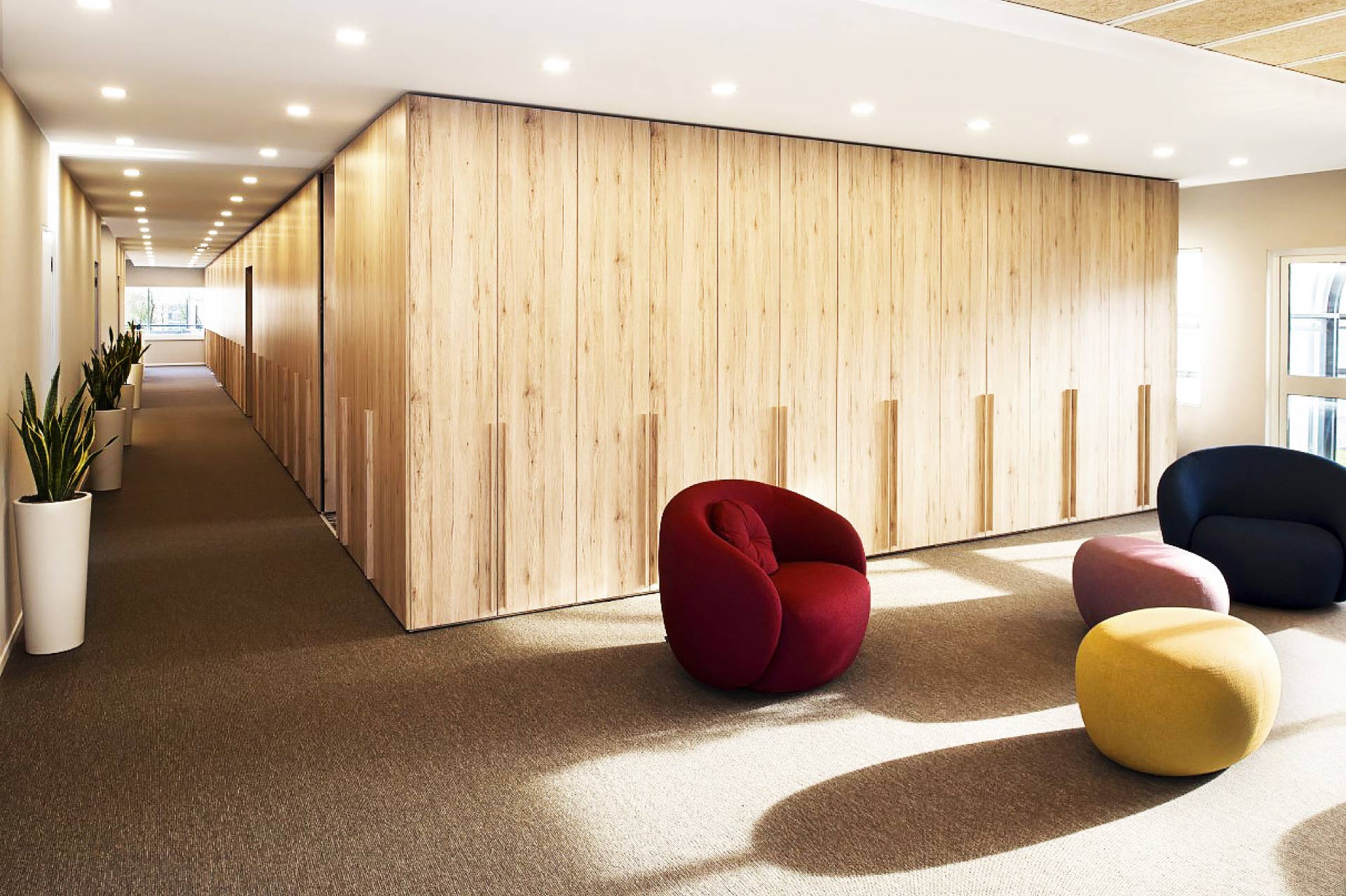 ECT | Studio Magenis