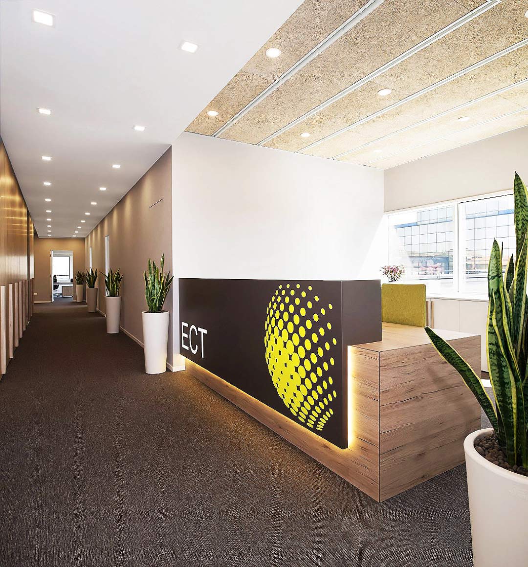 ECT | Studio Magenis