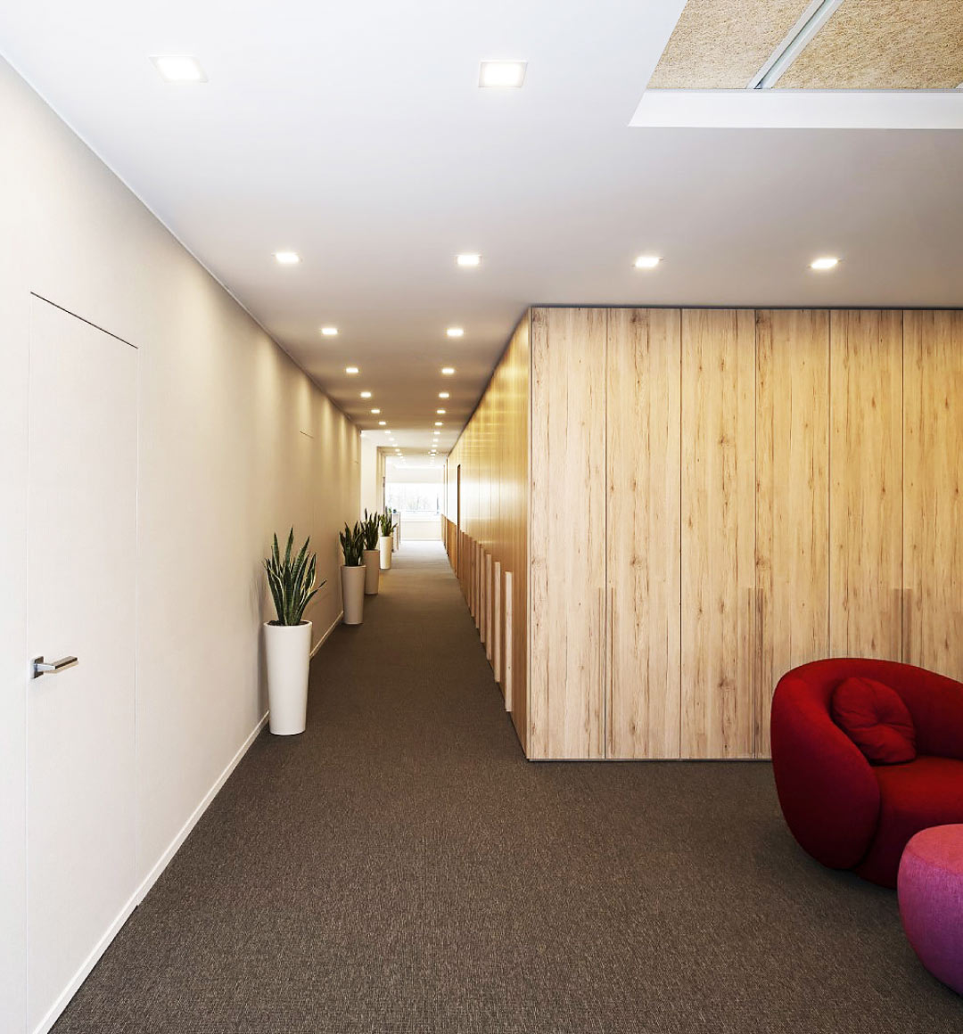 ECT | Studio Magenis