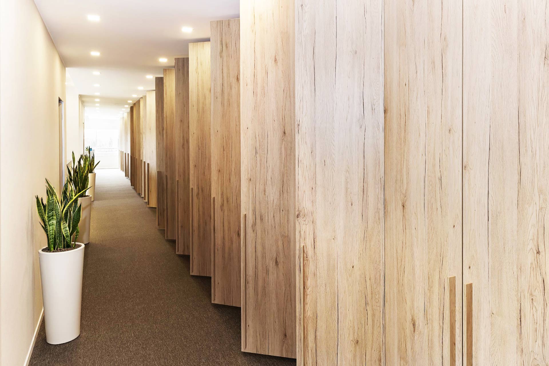 ECT | Studio Magenis