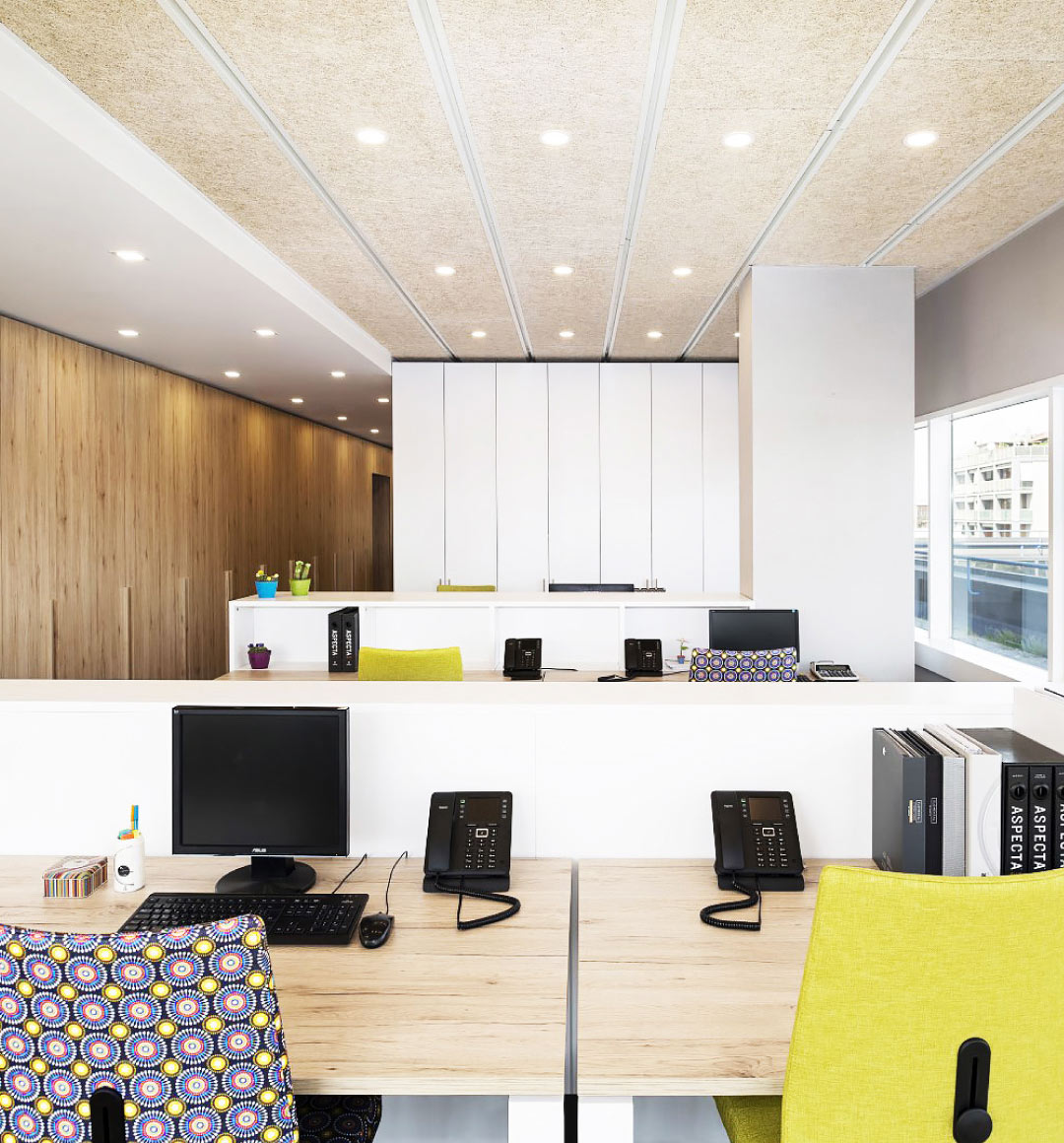 ECT | Studio Magenis