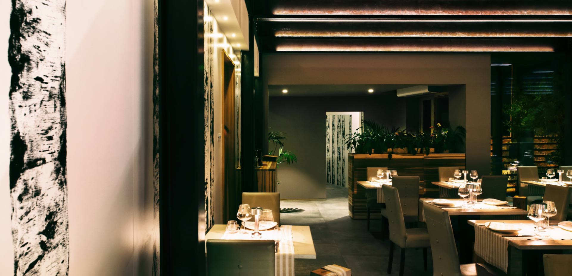 La kuccagna | Studio Magenis