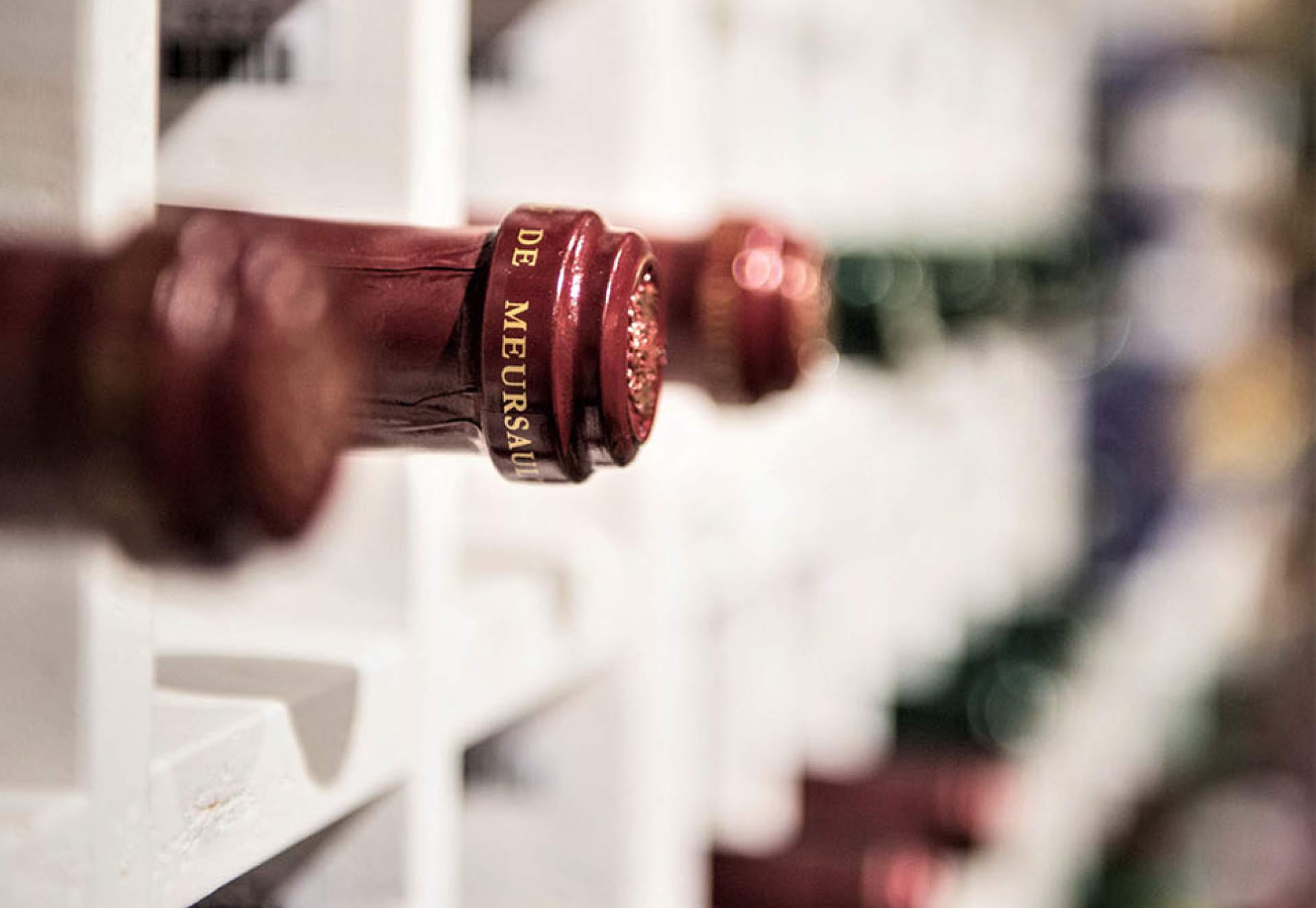 Maison del vino | Studio Magenis