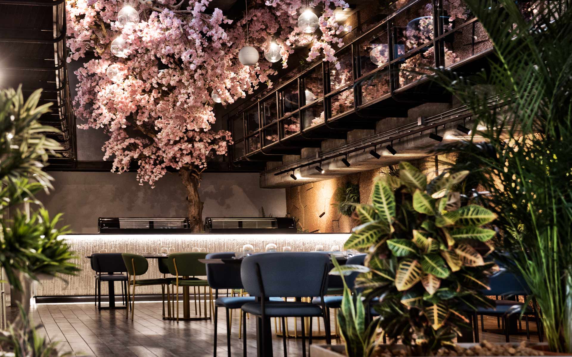 Ristorante Haki | Studio Magenis