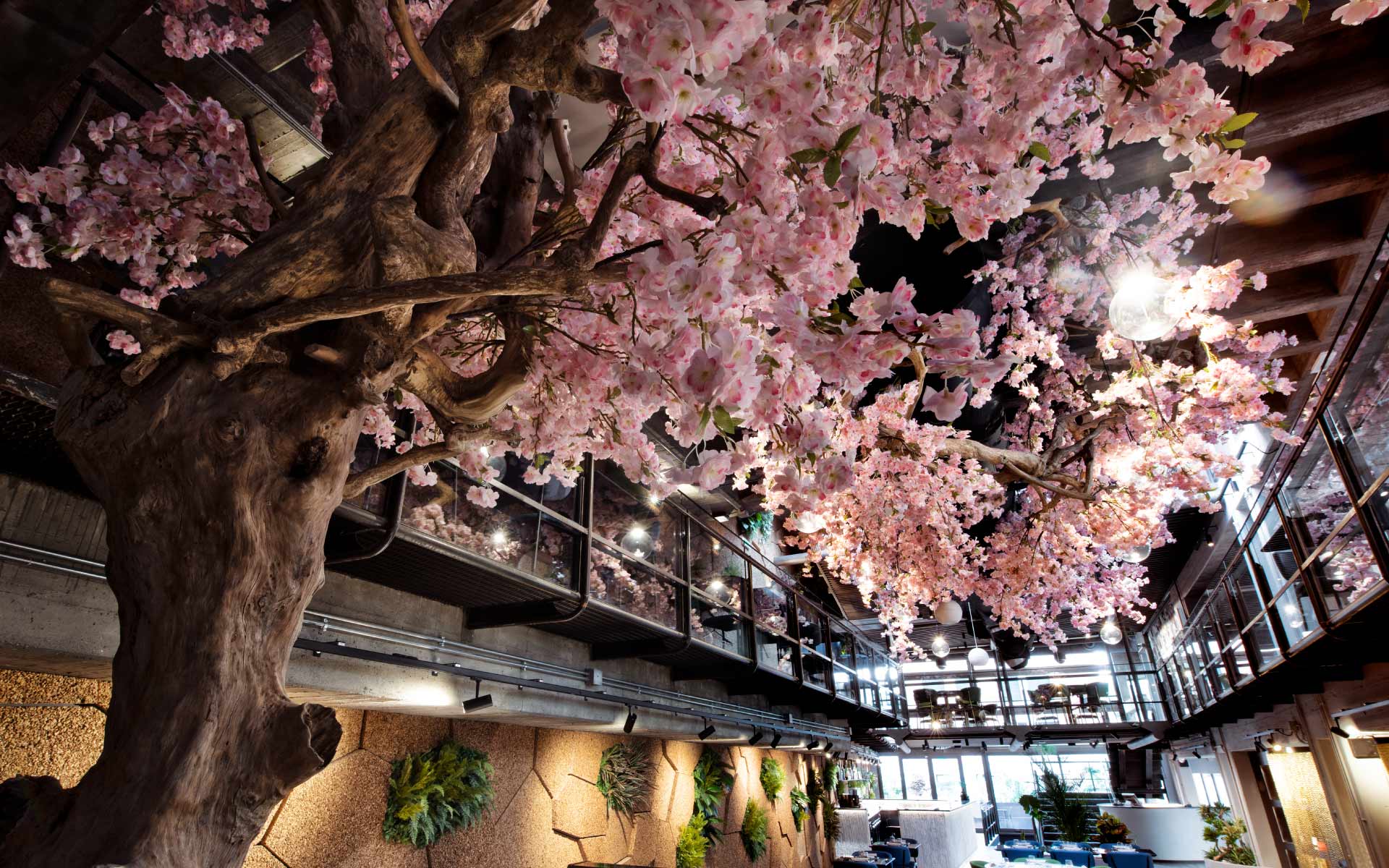 Ristorante Haki | Studio Magenis