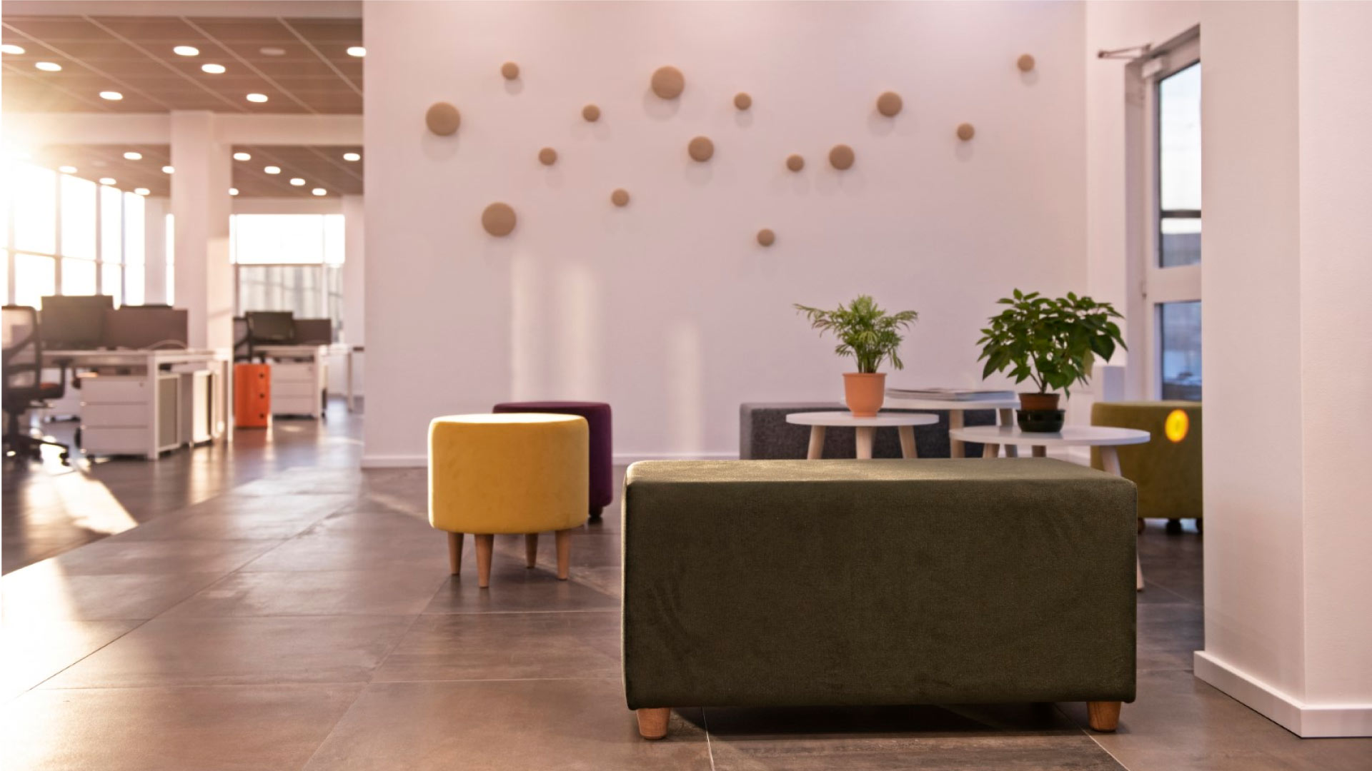 Xanto | Studio Magenis