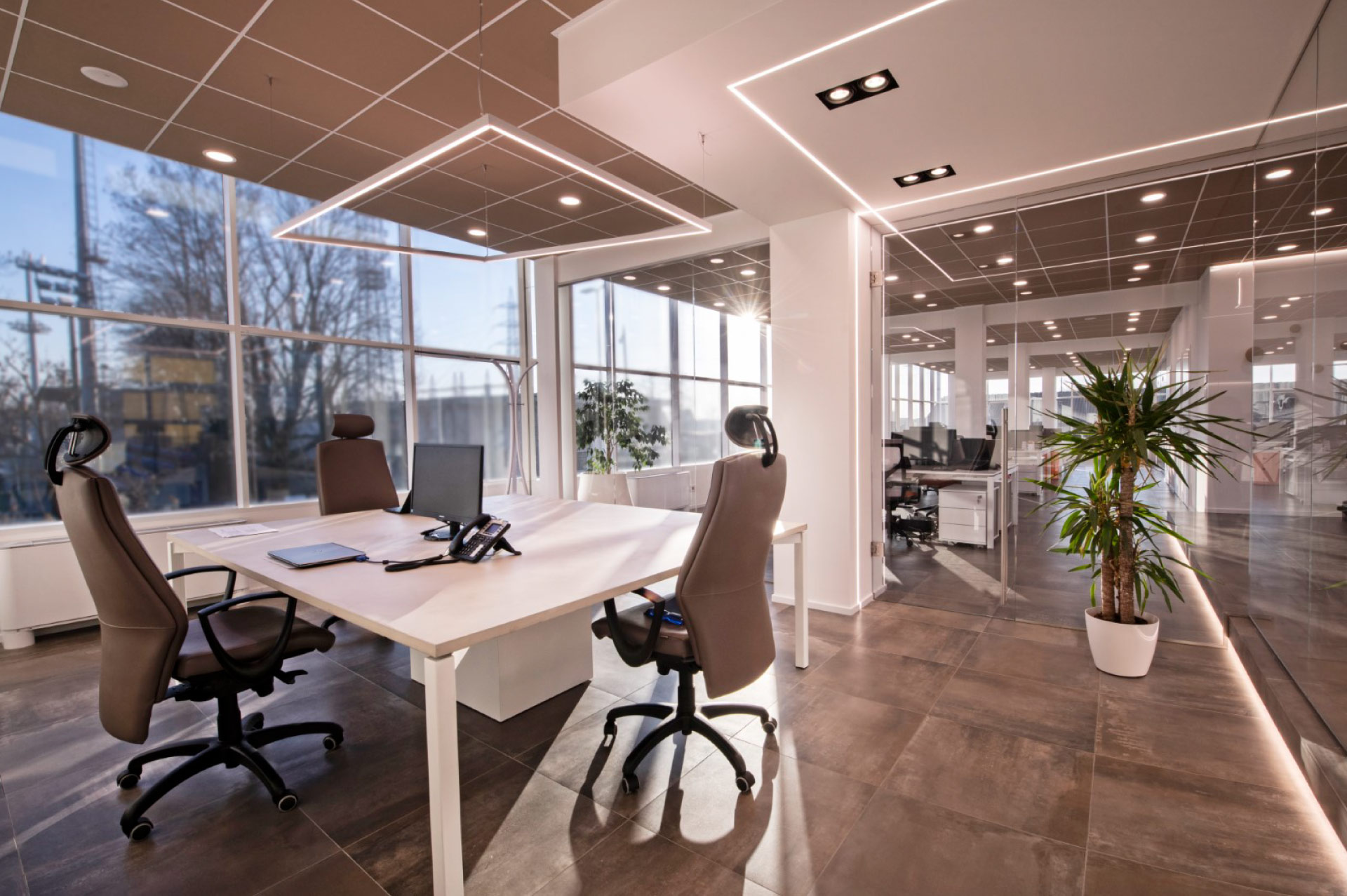 Xanto | Studio Magenis