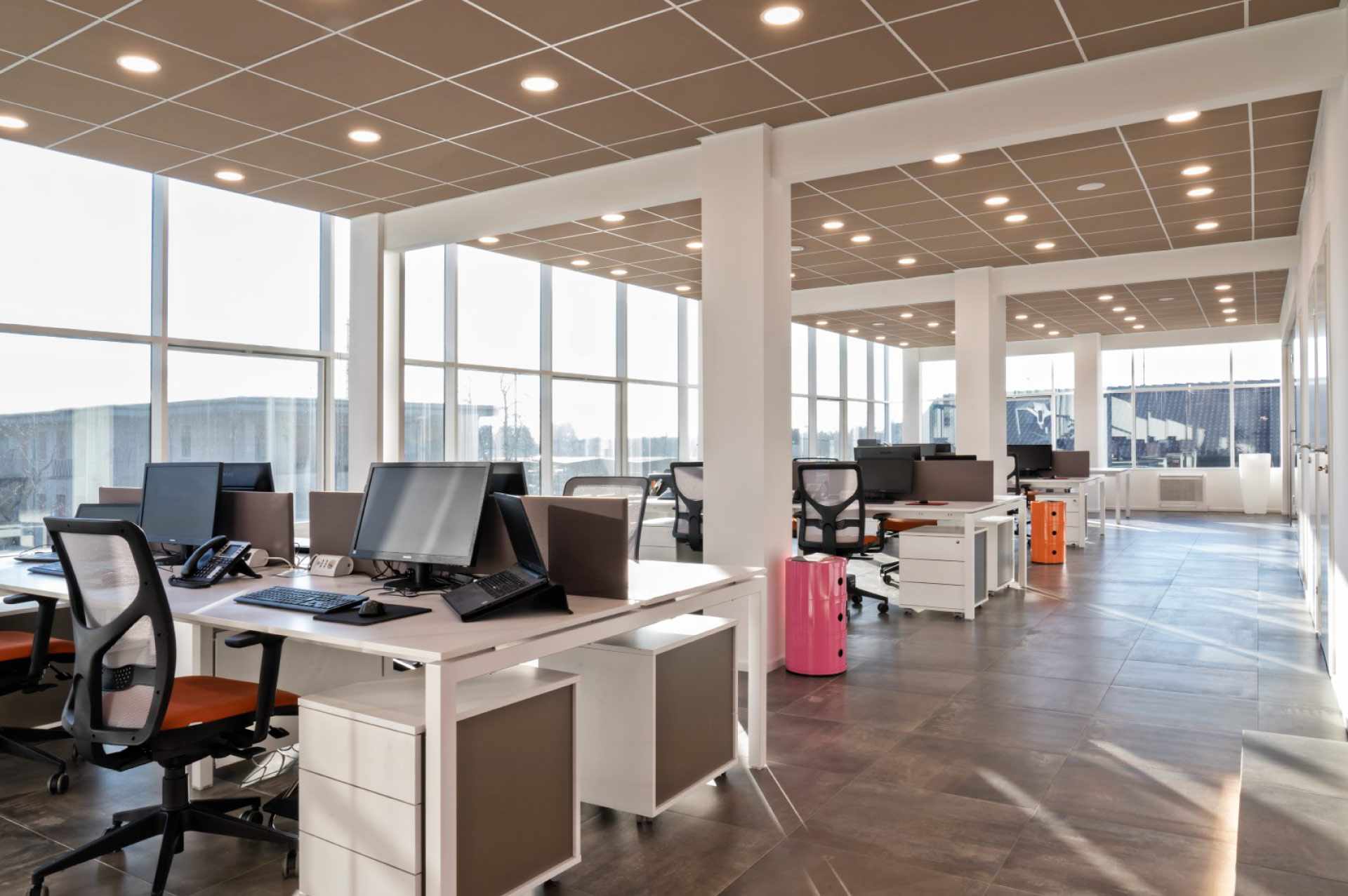 Xanto | Studio Magenis