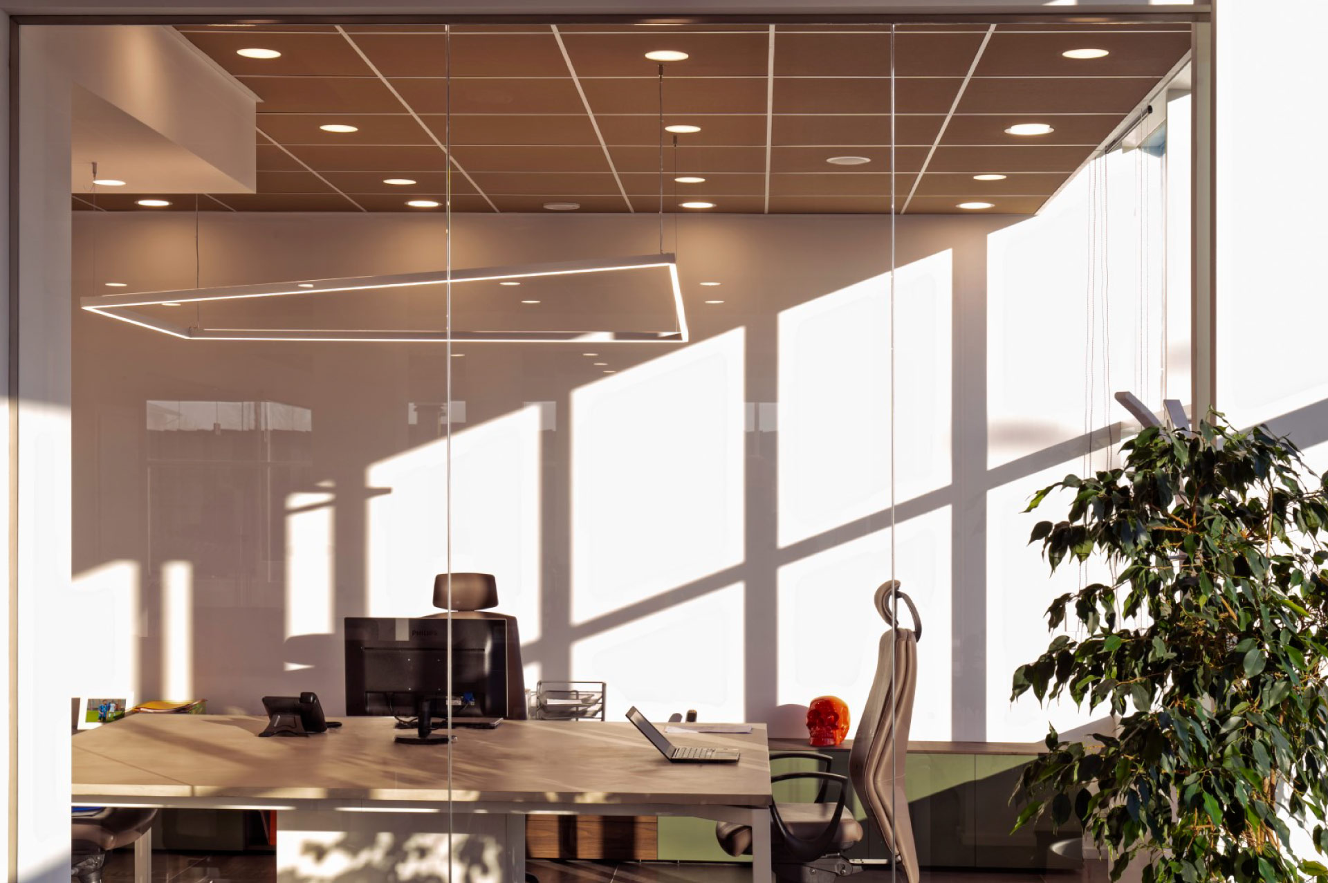 Xanto | Studio Magenis