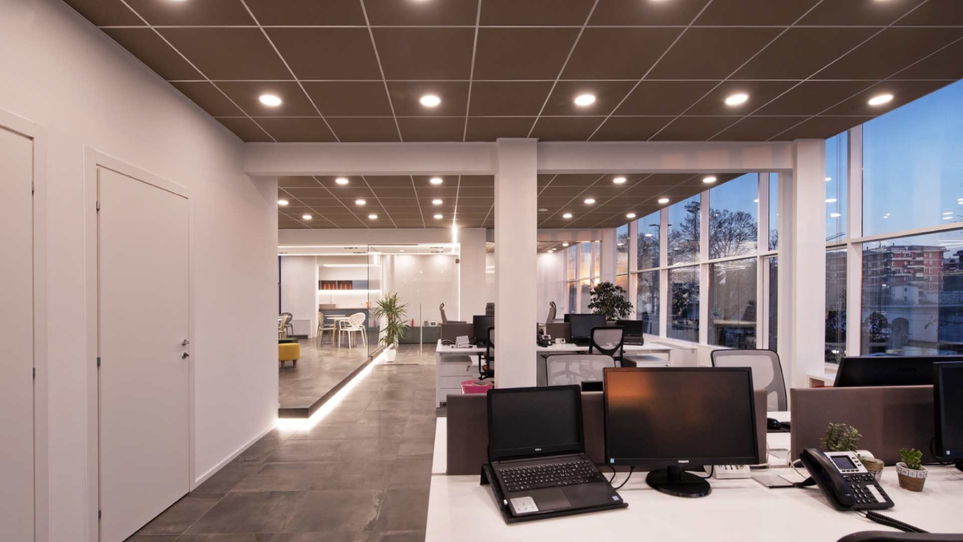 Xanto | Studio Magenis