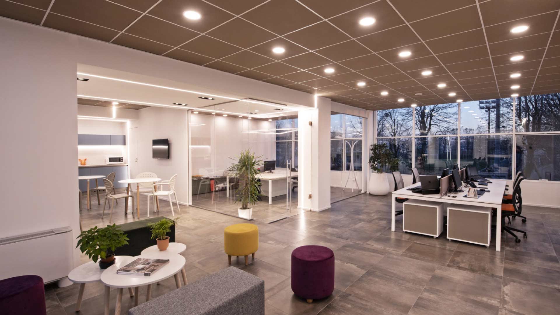 Xanto | Studio Magenis