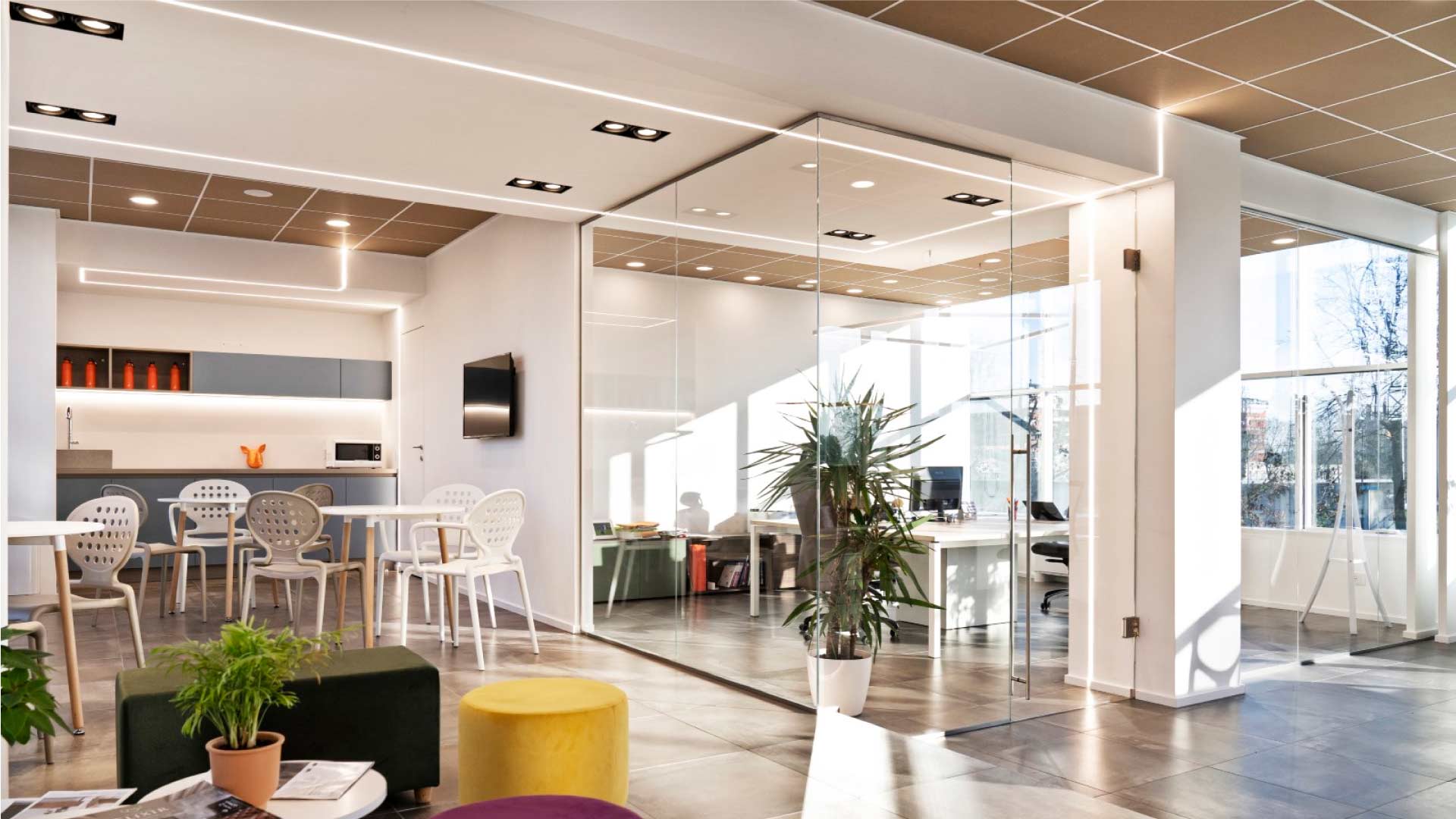 Xanto | Studio Magenis