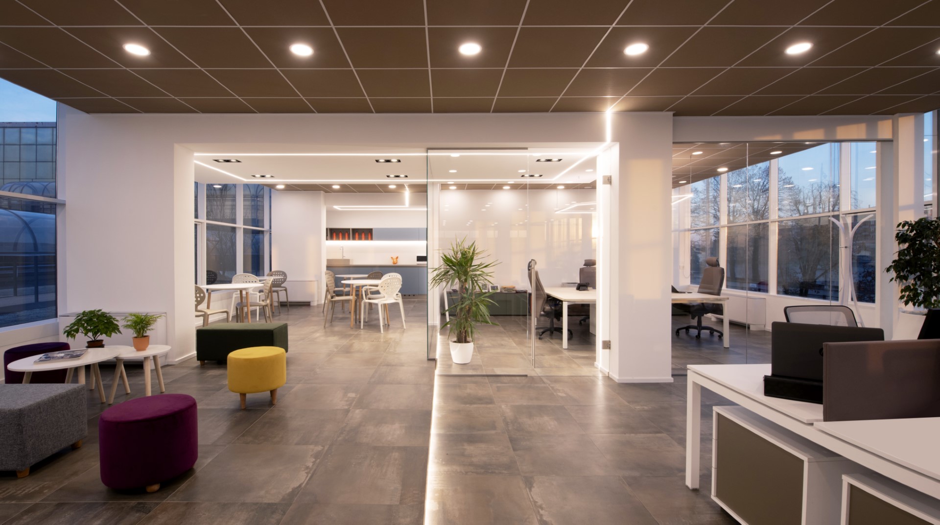 Xanto | Studio Magenis