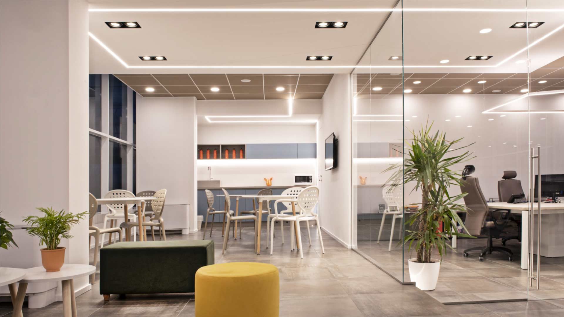 Xanto | Studio Magenis