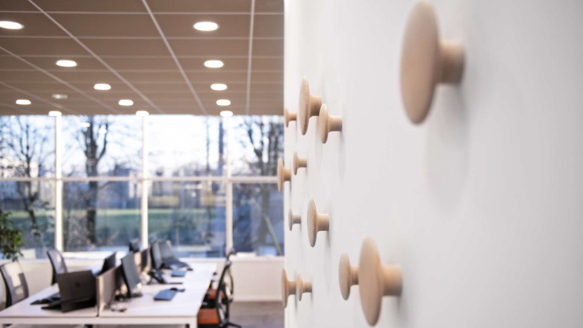 Xanto | Studio Magenis