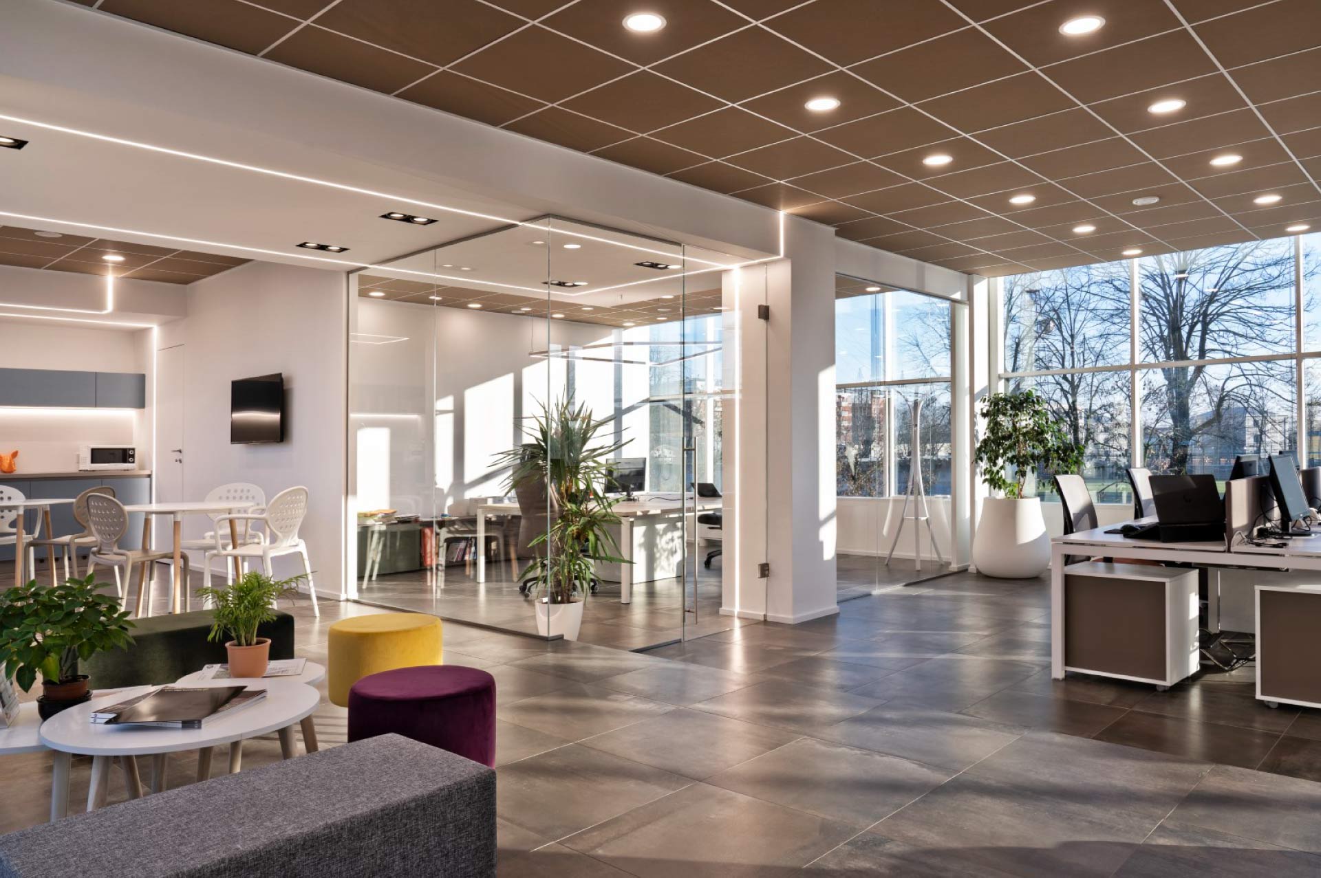 Xanto | Studio Magenis