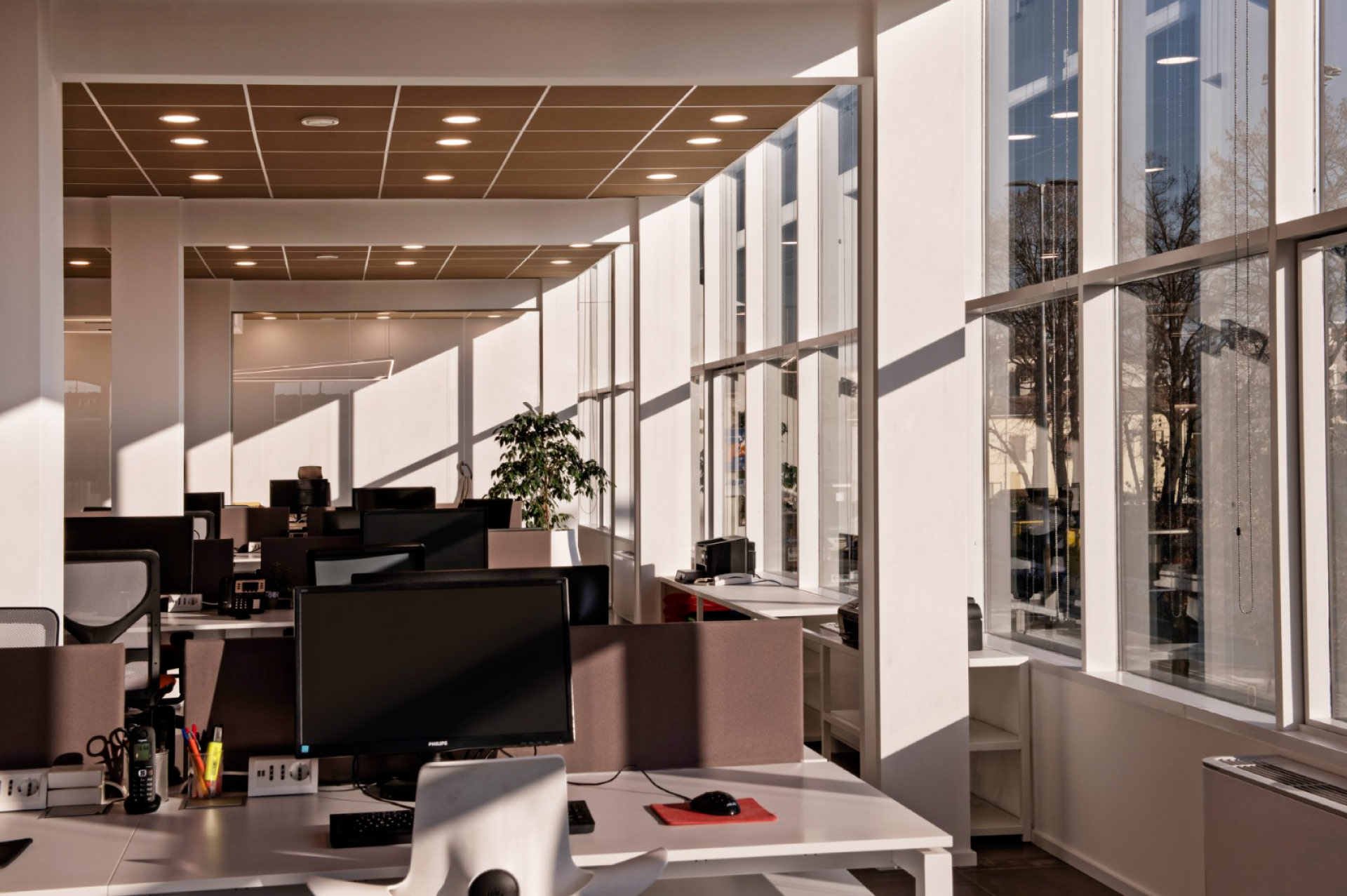 Xanto | Studio Magenis