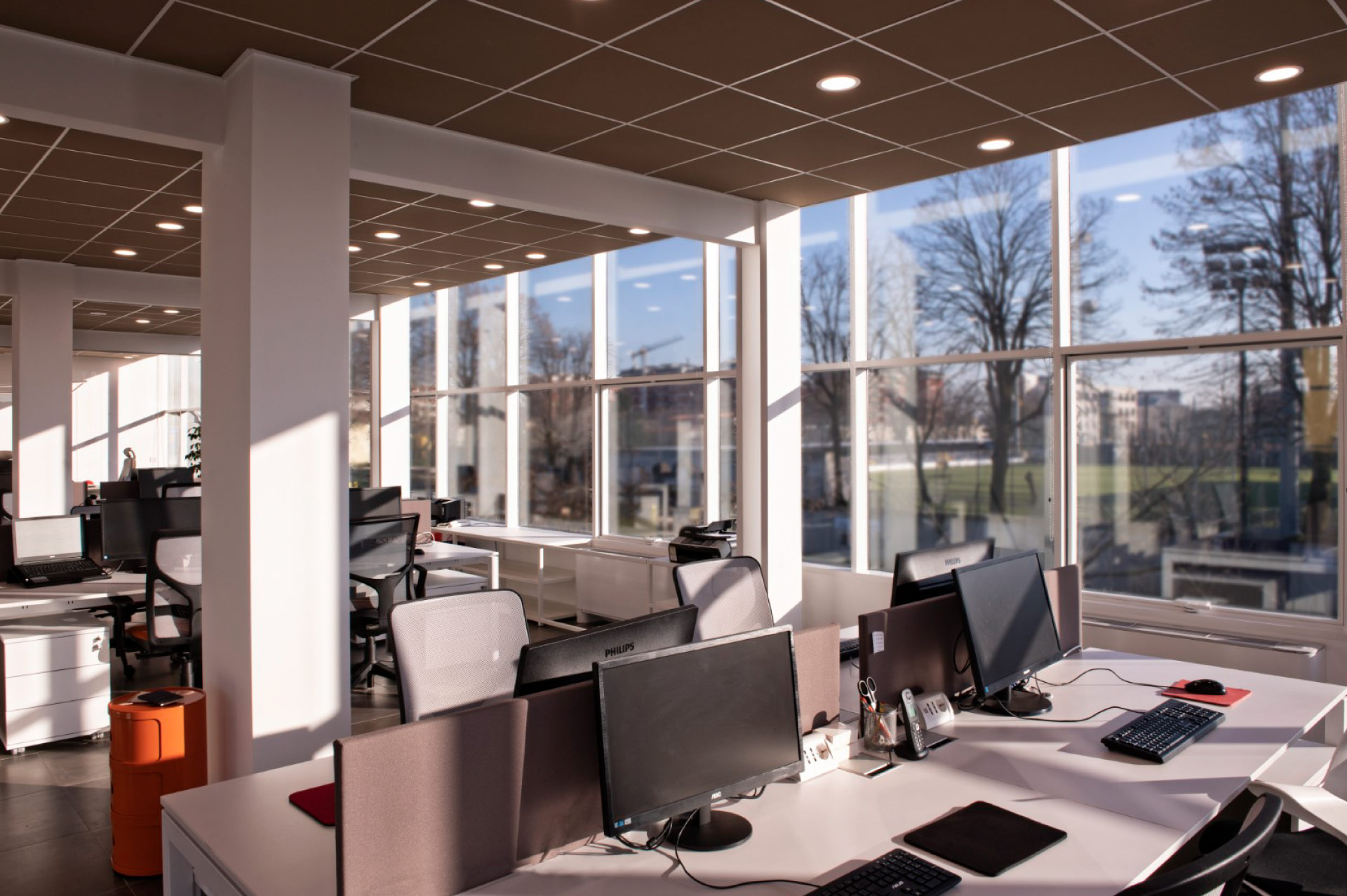 Xanto | Studio Magenis