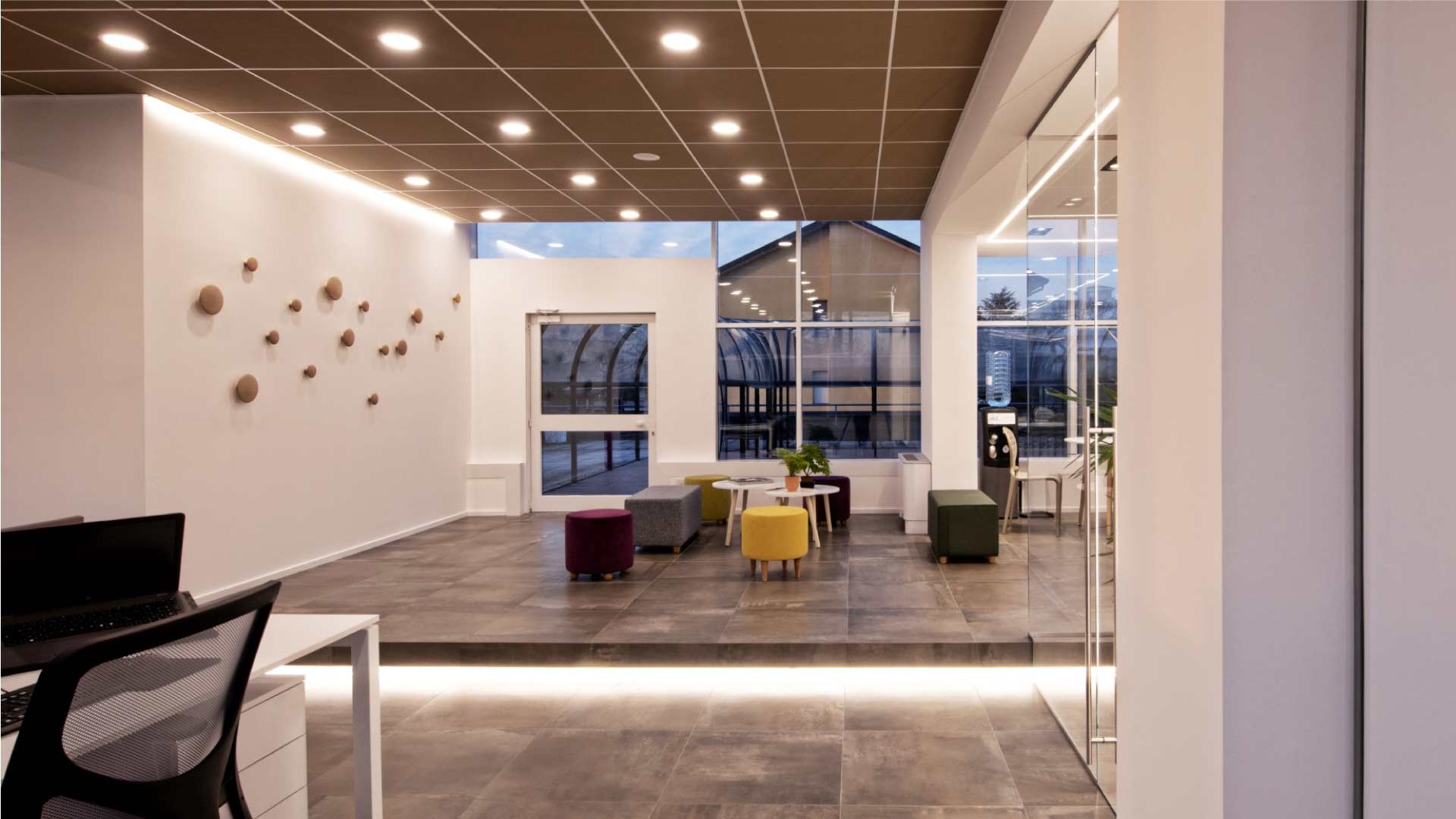 Xanto | Studio Magenis